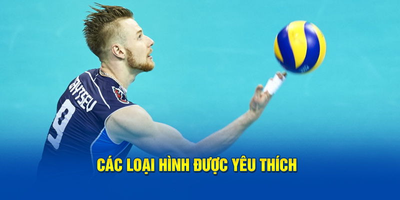 Các loại hình được yêu thích