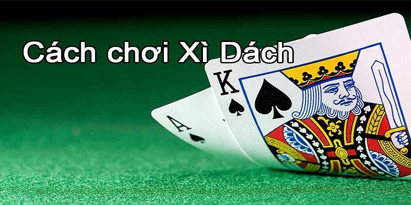 Điểm quan trọng cần nắm trước khi xuống cược