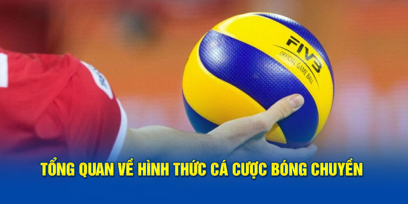 Tổng quan đôi điều về cá cược bóng chuyền